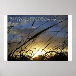 De Grass Withers Poster