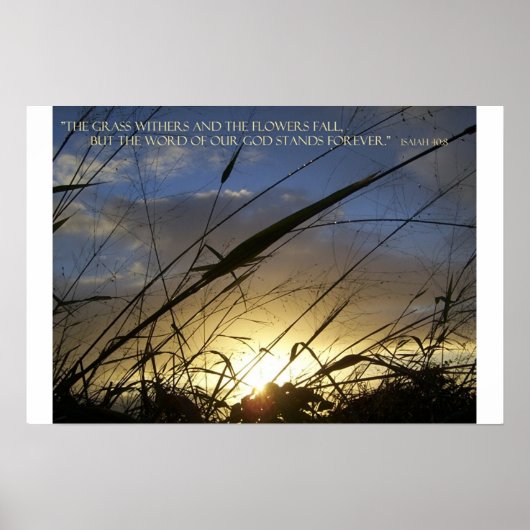 De Grass Withers Poster (Voorkant)