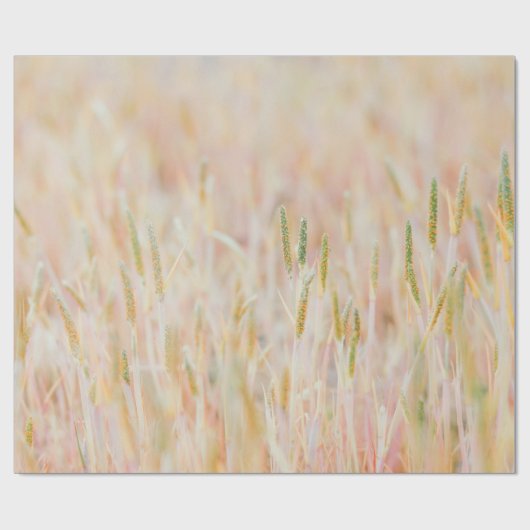 DE GRASSLAND WERD IN PASTEL-COLOED GEPUBLICEERD DO CADEAUPAPIER (Vlak)