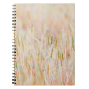 DE GRASSLAND WERD IN PASTEL-COLOED GEPUBLICEERD DO NOTITIEBOEK