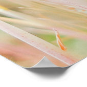 DE GRASSLAND WERD IN PASTEL-COLOED GEPUBLICEERD DO POSTER (Hoek)