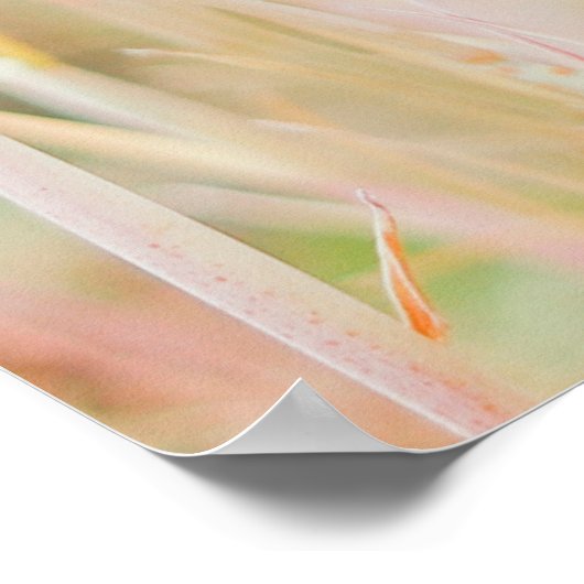 DE GRASSLAND WERD IN PASTEL-COLOED GEPUBLICEERD DO POSTER (Hoek)