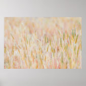 DE GRASSLAND WERD IN PASTEL-COLOED GEPUBLICEERD DO POSTER (Voorkant)