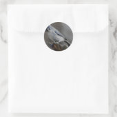 De gratie van de grijze mees ronde sticker (Tas)