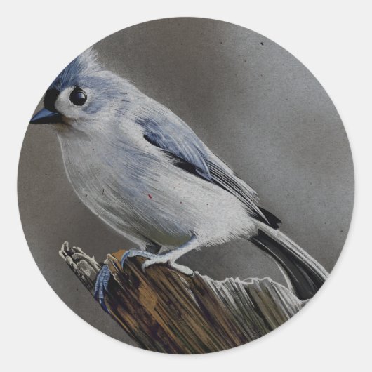 De gratie van de grijze mees ronde sticker (Voorkant)