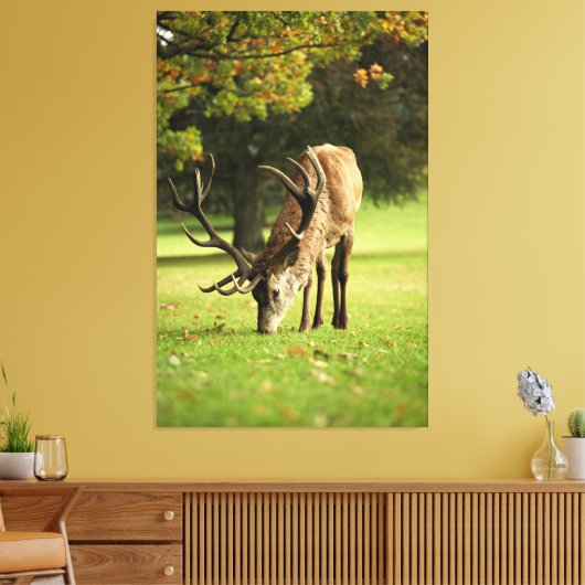 De grazende hert canvas afdruk (Insitu (Woonkamer))