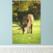 De grazende hert canvas afdruk (Insitu (Houten vloer))