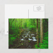 De Great Smoky Mountains Briefkaart (Voorkant / Achterkant)