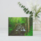 De Great Smoky Mountains Briefkaart (Staand voorkant)