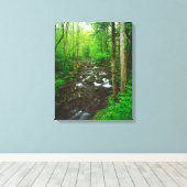De Great Smoky Mountains Canvas Afdruk (Insitu (Houten vloer))