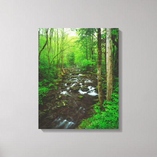 De Great Smoky Mountains Canvas Afdruk (Voorkant)