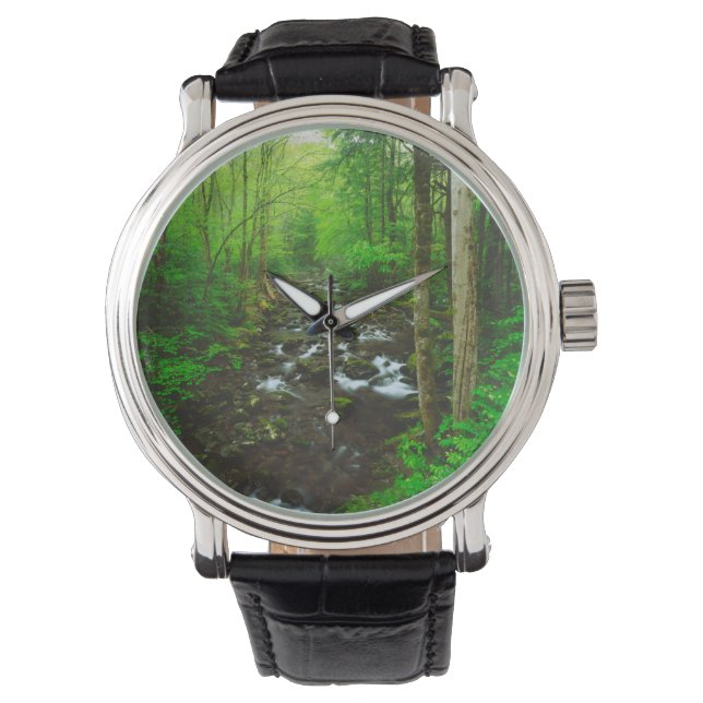 De Great Smoky Mountains Horloge (Voorkant)