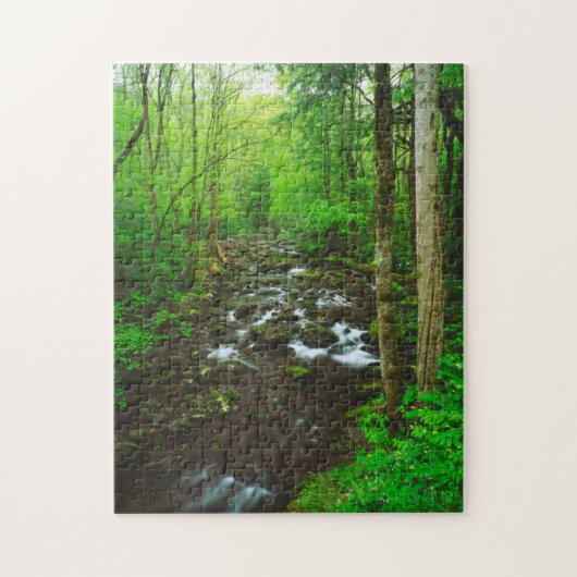 De Great Smoky Mountains Legpuzzel (Verticaal)