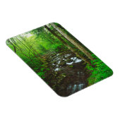De Great Smoky Mountains Magneet (Rechterzijde)