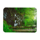 De Great Smoky Mountains Magneet (Horizontaal)