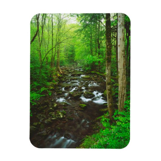 De Great Smoky Mountains Magneet (Verticaal)