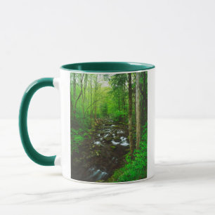 De Great Smoky Mountains Mok
