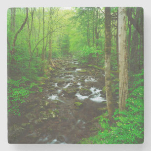 De Great Smoky Mountains Stenen Onderzetter