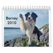 De grens Collie 2010 Kalender (Hoes)