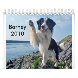 De grens Collie 2010 Kalender