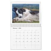 De grens Collie 2010 Kalender (Feb 2026)