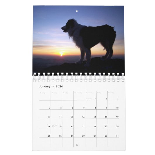 De grens Collie 2010 Kalender (Jan 2026)