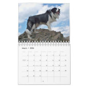 De grens Collie 2010 Kalender (Mar 2026)