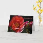 De Griekse Kaart van de Verjaardag (Gele Bloem)