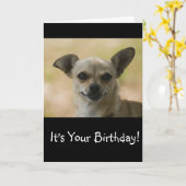 De grijns en draagt het de Kaart van de Verjaardag (Gele Bloem)