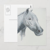 De grijze blik briefkaart (Voorkant / Achterkant)