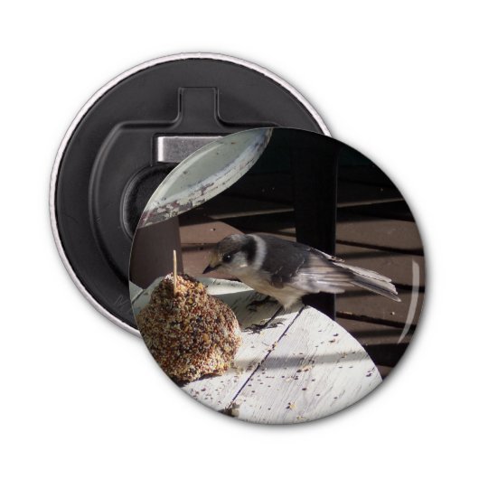 De grijze Flesopener van de Button van de Vlaamse Button Flesopener (Voorkant)