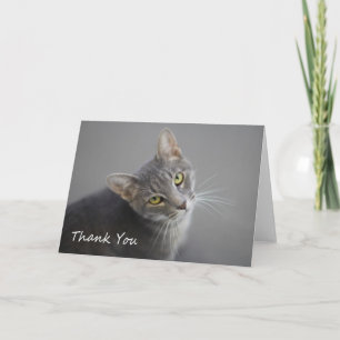 De grijze Kat van de Gestreepte kat dankt u kaardt Bedankkaart