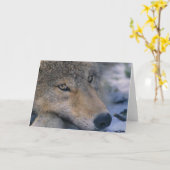 De grijze Minnaars van de Wolf Kaart (Gele Bloem)
