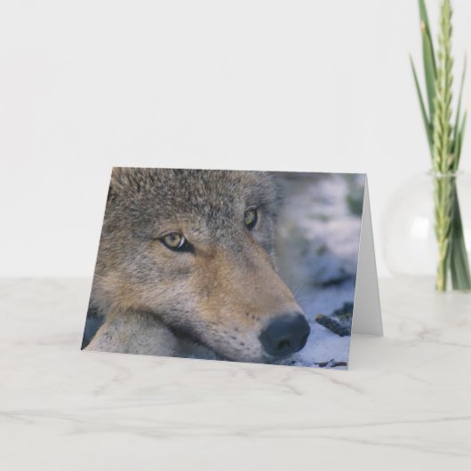 De grijze Minnaars van de Wolf Kaart (Voorkant)