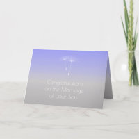 De Grijze Ouders van de lavendel van de