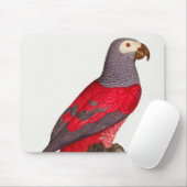 De grijze rode papegaai, Psittacus erithacus Muismat (Met muis)