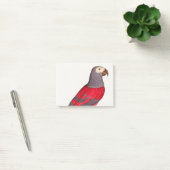 De grijze rode papegaai, Psittacus erithacus Post-it® Notes (Kantoor)