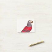De grijze rode papegaai, Psittacus erithacus Post-it® Notes (Op bureau)