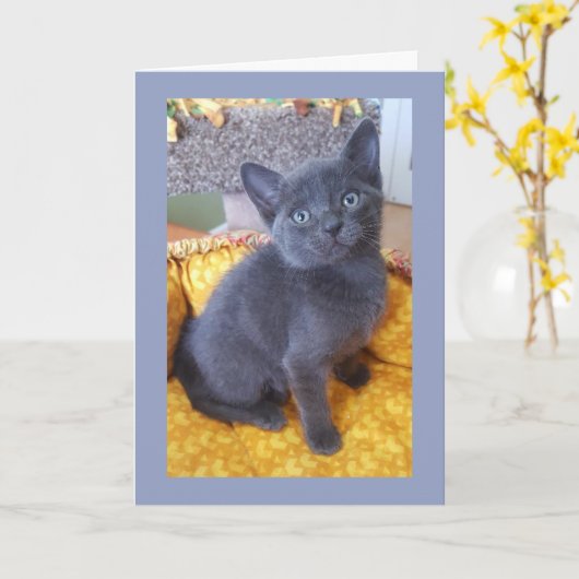 De grijze Verjaardag van het Katje of Al Kaart van (Gele Bloem)