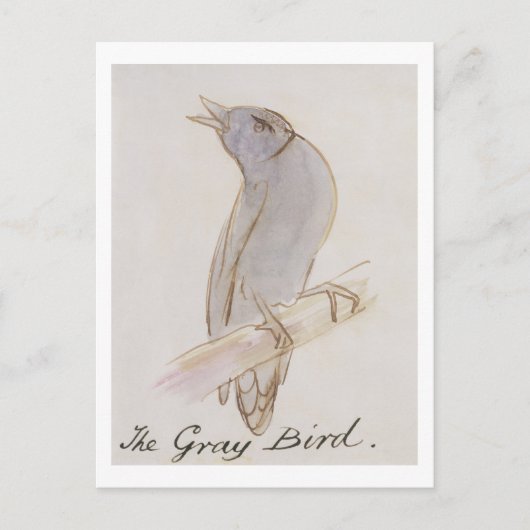 De grijze vogel uit 'zestien tekeningen van Comic  Briefkaart (Voorkant)