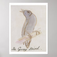 De grijze vogel uit 'zestien tekeningen van Comic