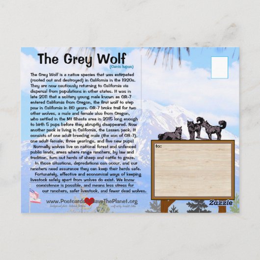 De grijze wolf is bedreigd in Californië - Feb25h Briefkaart (Achterkant)