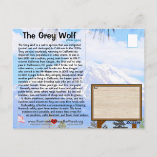De grijze wolf is bedreigd met FEBhh met o bovenaa Briefkaart