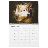 De grijze wolven van geelsteen kalender (Feb 2026)