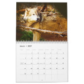 De grijze wolven van geelsteen kalender (Mar 2027)
