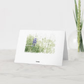 De grillige schets van Bluebonnet Kaart (Achterkant)