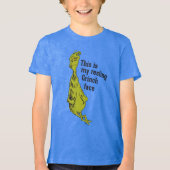 De Grinch | Funny Resting Grinch Face Tri-Blend Shirt (Voorkant)