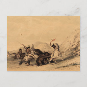 De Grizzlybeer Aanvallend, 1844 George Catlin Briefkaart