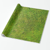 De groene achtergrond van de textuur van het Grass Cadeaupapier (Uitgerold)