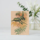 De Groene Boa van Joseph Wolf Briefkaart (Staand voorkant)